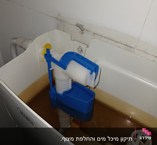 מיכל הדחה עם מנגנון פלסטיק כחול ולבן